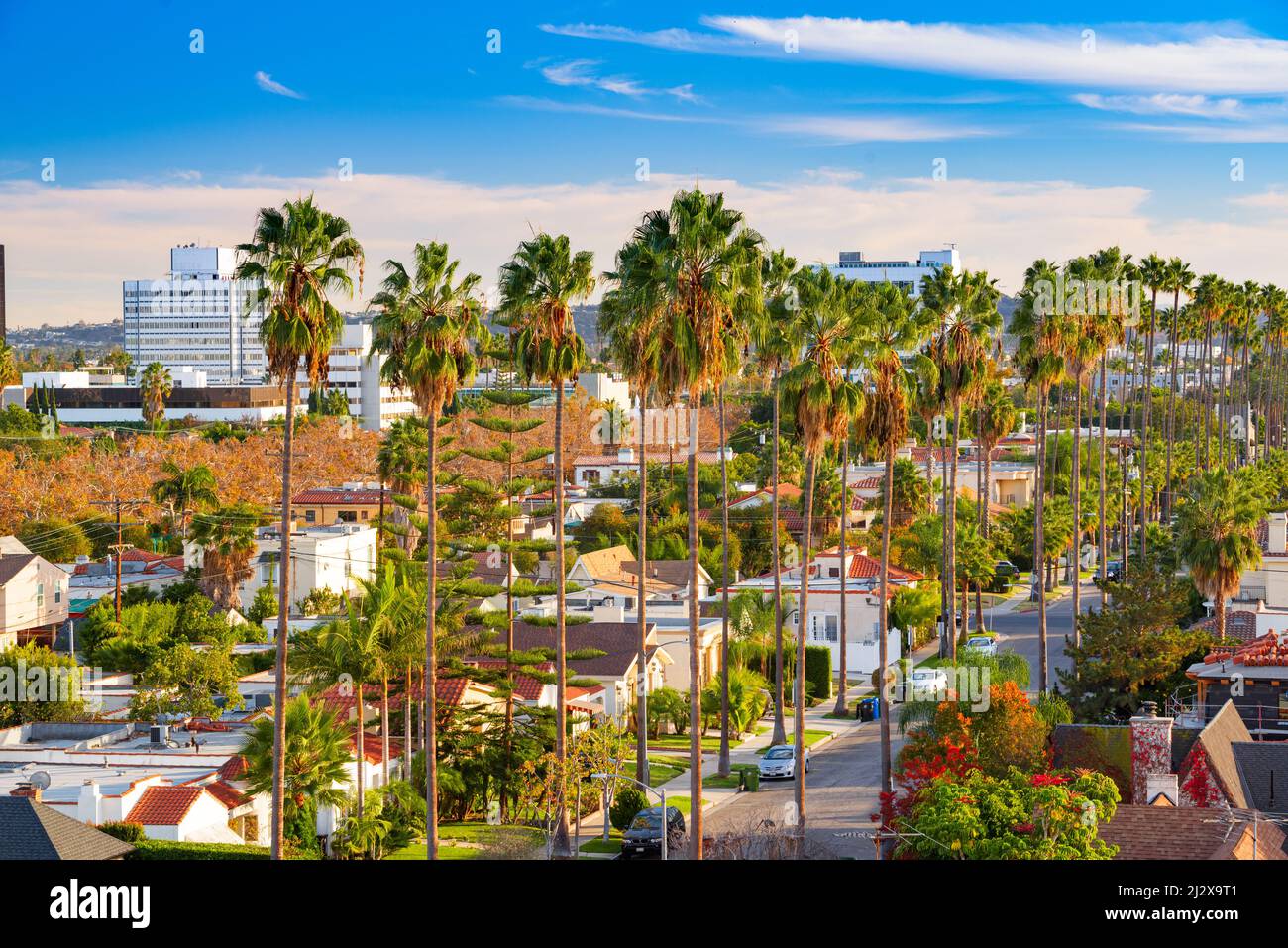 Beverly Hills, California, Stati Uniti d'America con vista sullo skyline del tetto e con particolare attenzione alle palme. Foto Stock