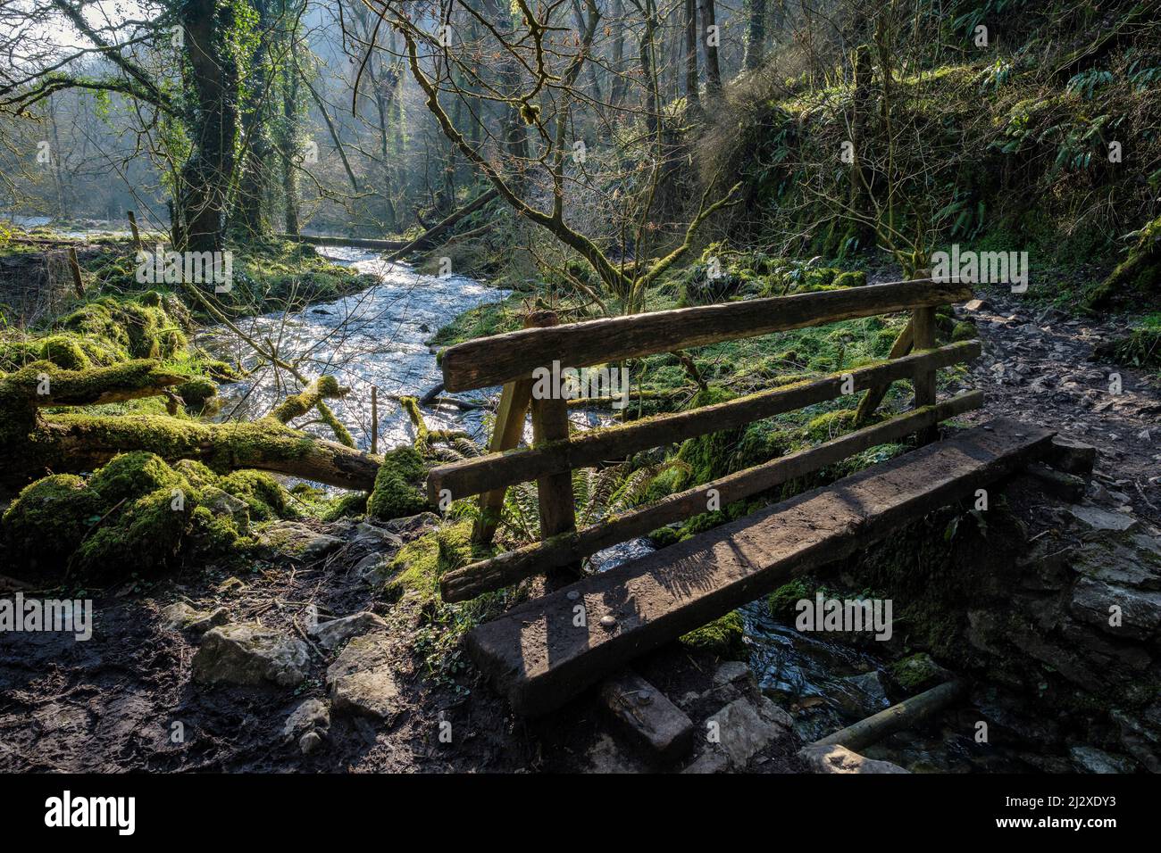 Un ponte pedonale su un ruscello che sfocia nel fiume Wye a Chee Dale, Peak District National Park, Derbyshire, Inghilterra Foto Stock