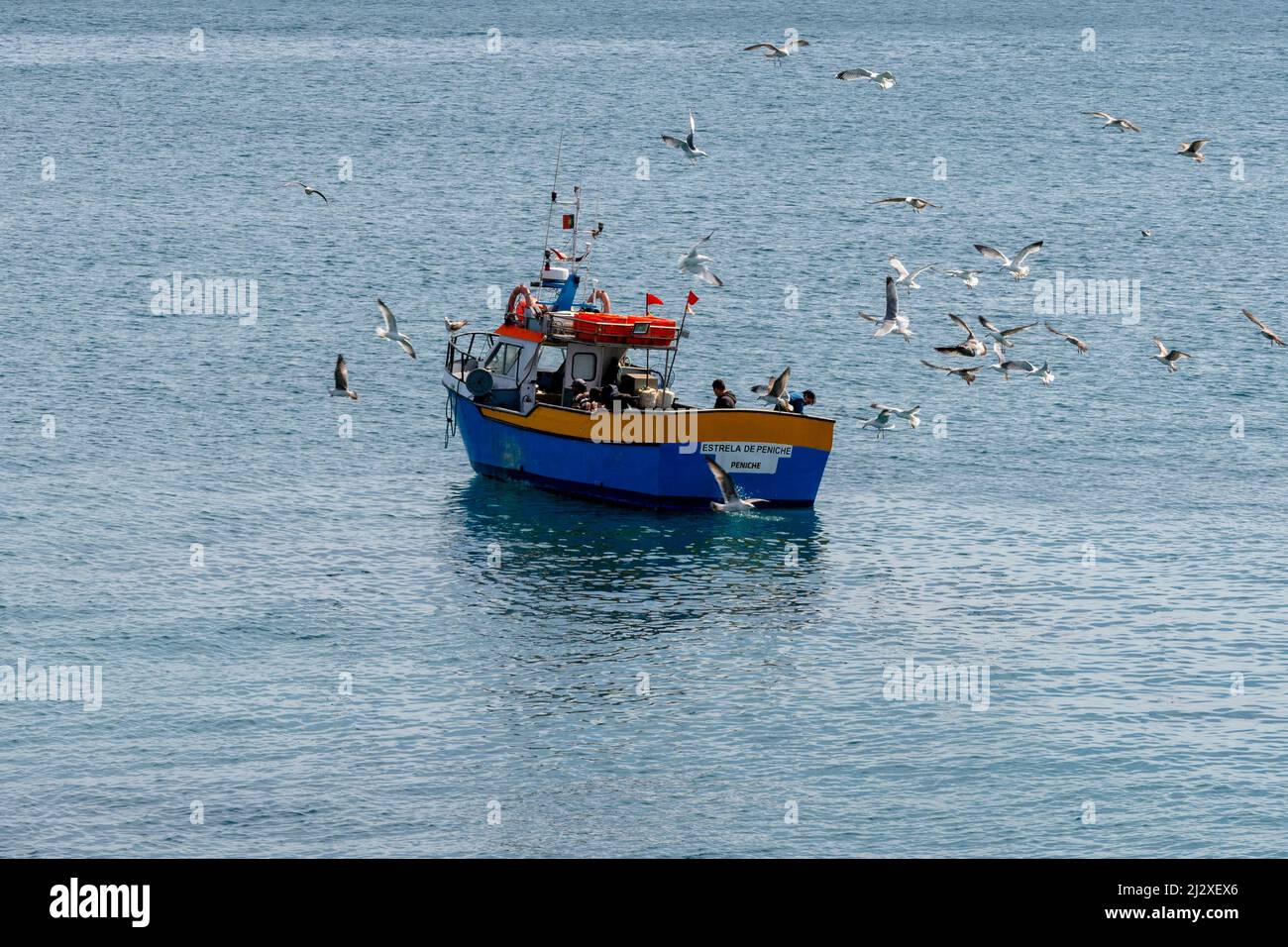 Peniche, Portogallo - 2 aprile 2022: Gabbiani che combattono sul pesce sopra una piccola barca da pesca al largo della costa portoghese Foto Stock