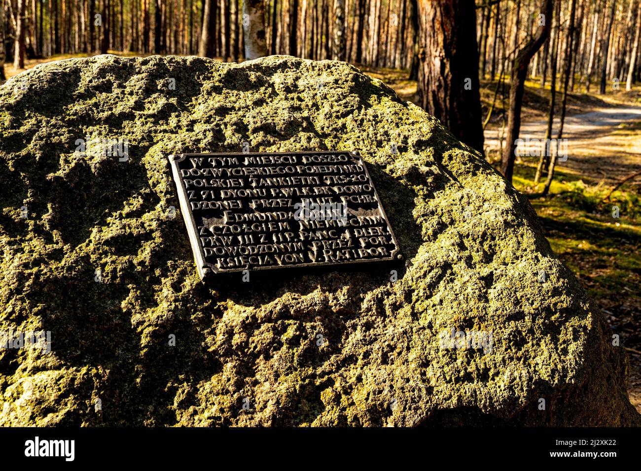 Palmiry, Polonia - 20 marzo 2022: Pietra di Orlik - Kamien Orlika monumento simbolico di pietra caduto cadetto romano Orlik da guerra mondiale II serbatoio polacco difens Foto Stock