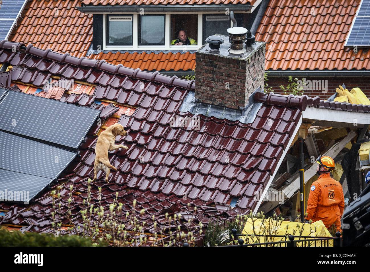 2022-04-04 12:04:24 OLDENZAAL - un ricercatore urbano e di salvataggio (USAR) al lavoro con un cane da cecchino in una casa distaccata sul Hoefsmid che è completamente crollata. ANP VINCENT JANNINK olanda OUT - belgio OUT Foto Stock