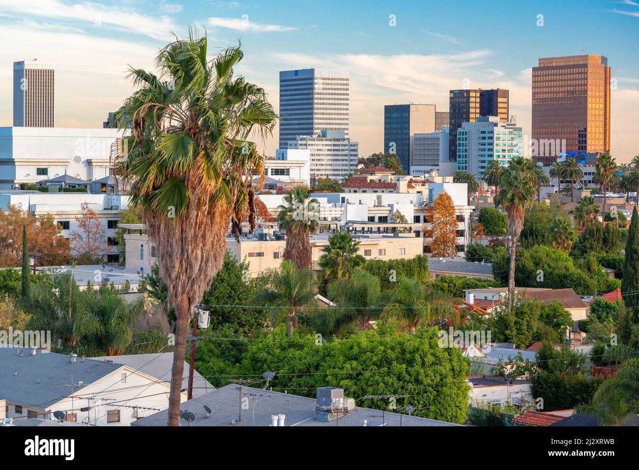 Beverly Hills, California, Stati Uniti d'America con vista sullo skyline del tetto e con particolare attenzione alle palme. Foto Stock