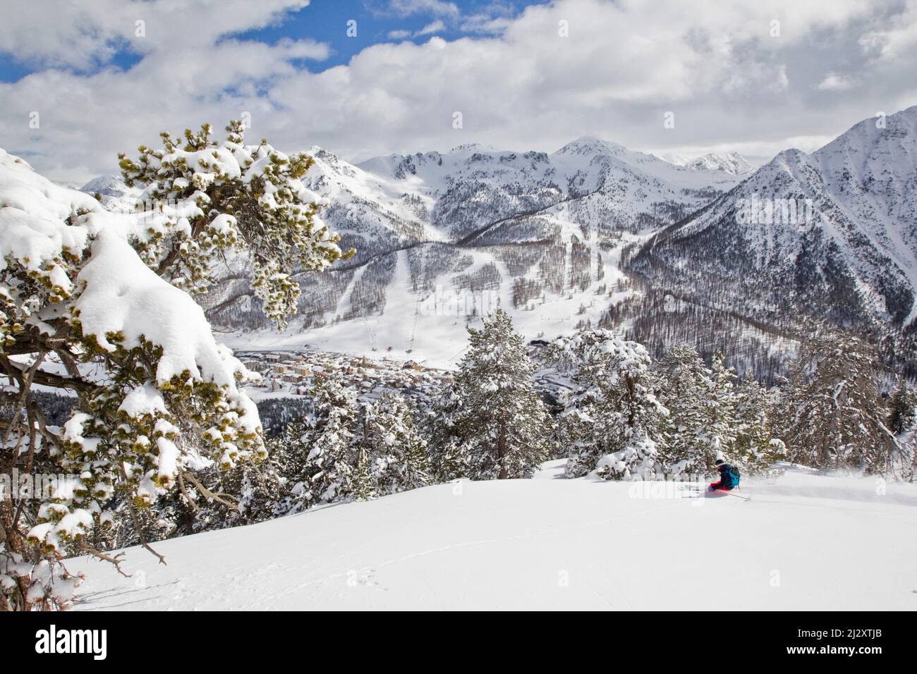 Stazione sciistica di Montgenevre (Alpe Francese, Francia sud-orientale): Uomo, sciatore freeride sciare in neve polverosa, off-piste, sci di fondo e trac Foto Stock