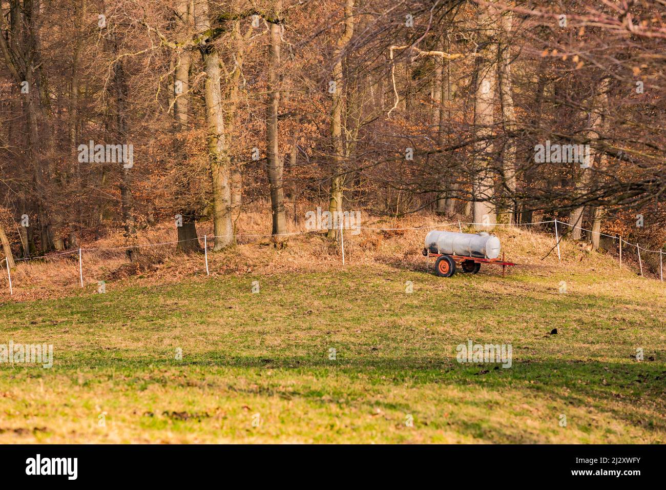 Un camion mobile del barile assicura l'approvvigionamento di acqua per bestiame sul pascolo nella Germania rurale Foto Stock