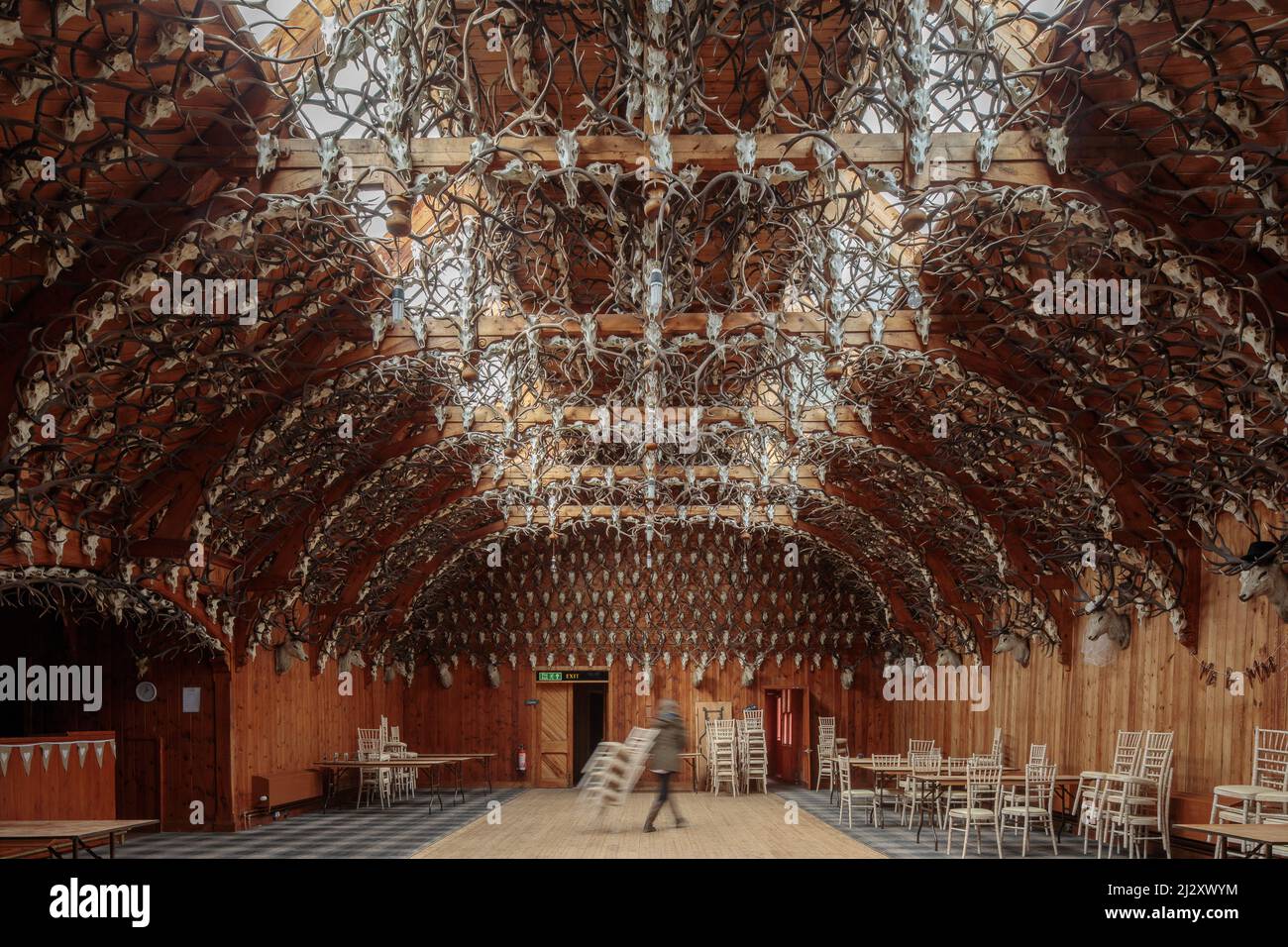 Stag Ballroom, sala da ballo, Mar Lodge, 2500 trofei di cervi raccolti dal 1790 in sala di legno, Deeside, Aberdeenshire, Scozia, Regno Unito Foto Stock