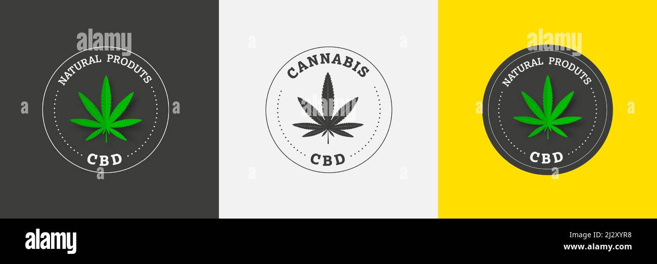 Emblema vettoriale della cannabis sativa e indica la cannabis, su uno sfondo colorato al centro del cerchio. Etichetta con foglia organica verde di cbd e Th Illustrazione Vettoriale