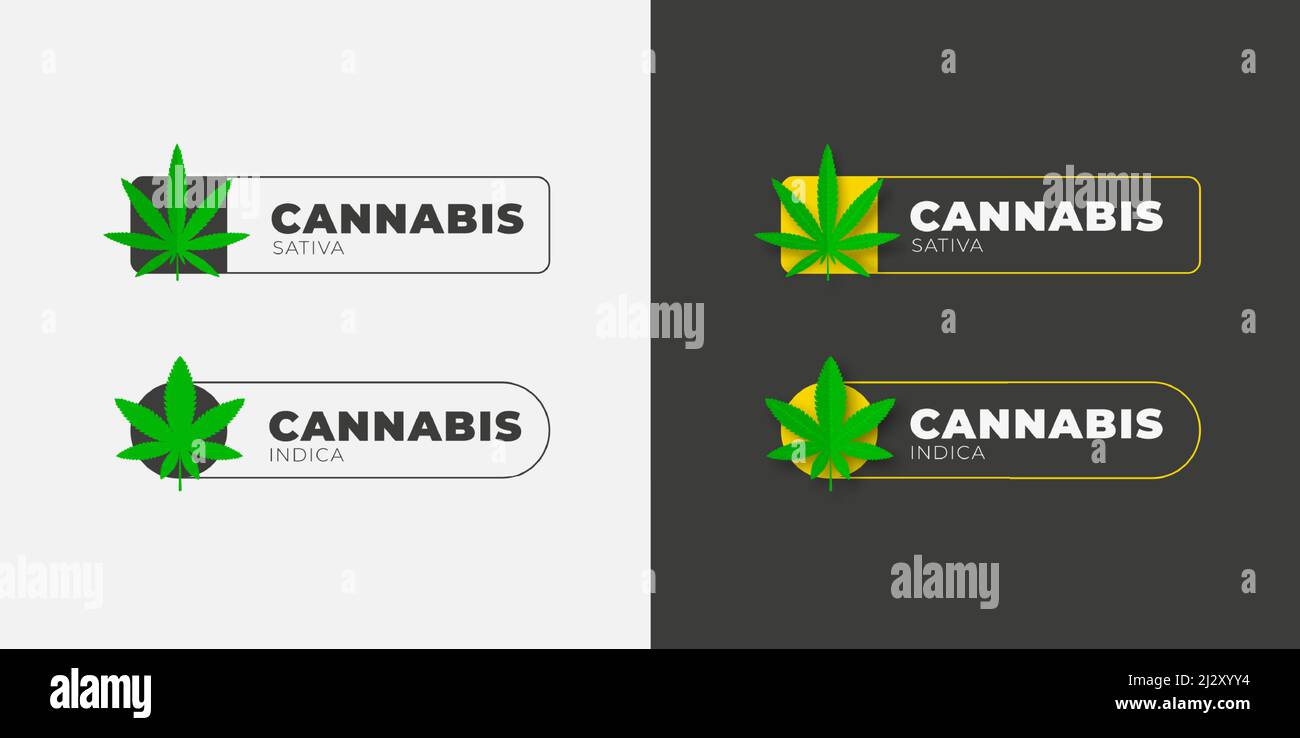 Logo grafico con foglia di cannabis organica, su sfondo bianco e nero. Modello di etichetta vettoriale con marijuana medica, emblema con sativa A. Illustrazione Vettoriale
