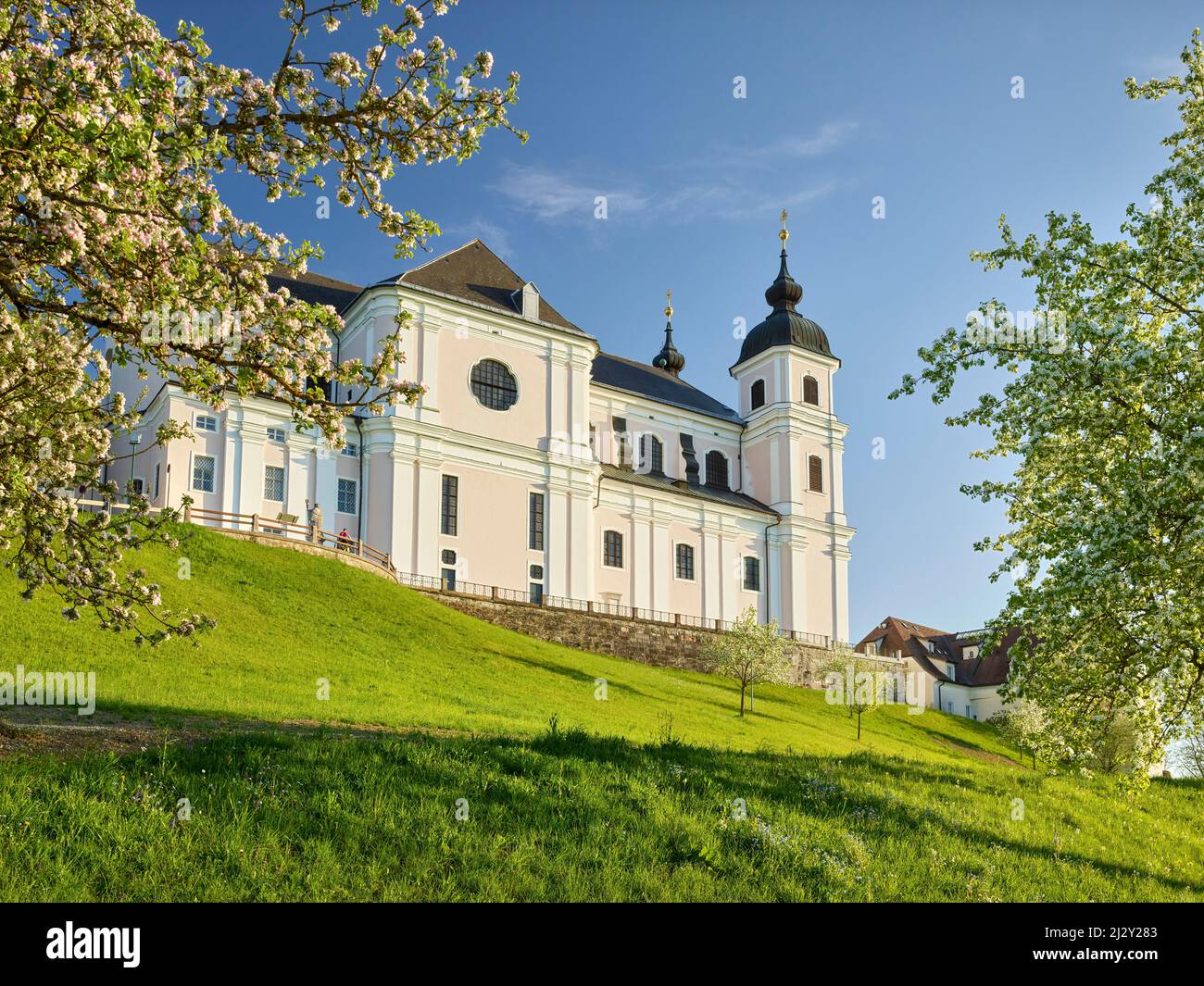 Pero fiorente, Basilica, Sonntagberg, Austria superiore, Austria Foto Stock