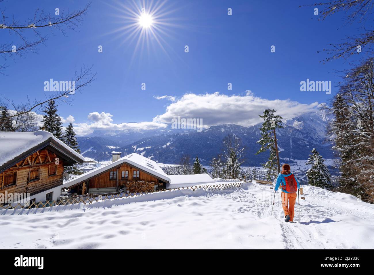 Donna escursioni passeggiate su pendio innevato verso il ristorante St. Martin, Kramerplateauweg, Garmisch, Alpi Ammergau, Werdenfelser Land, Baviera superiore, Baviera, Germania Foto Stock