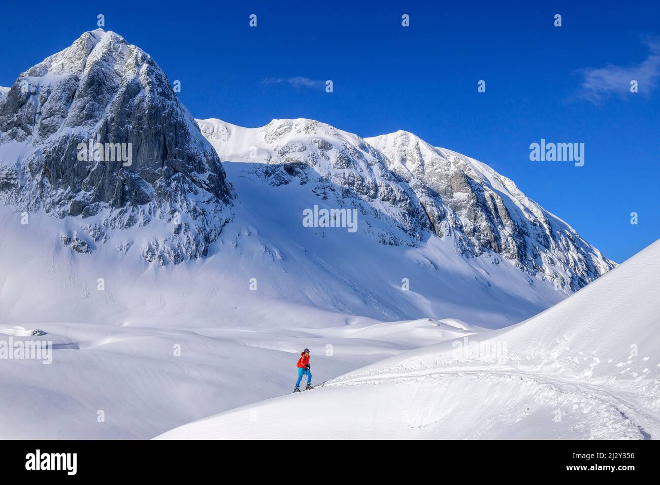 Donna in scialpinismo sale a Hohen Göll, Hoher Göll, Alpi Berchtesgaden, Parco Nazionale Berchtesgaden, alta Baviera, Baviera, Germania Foto Stock