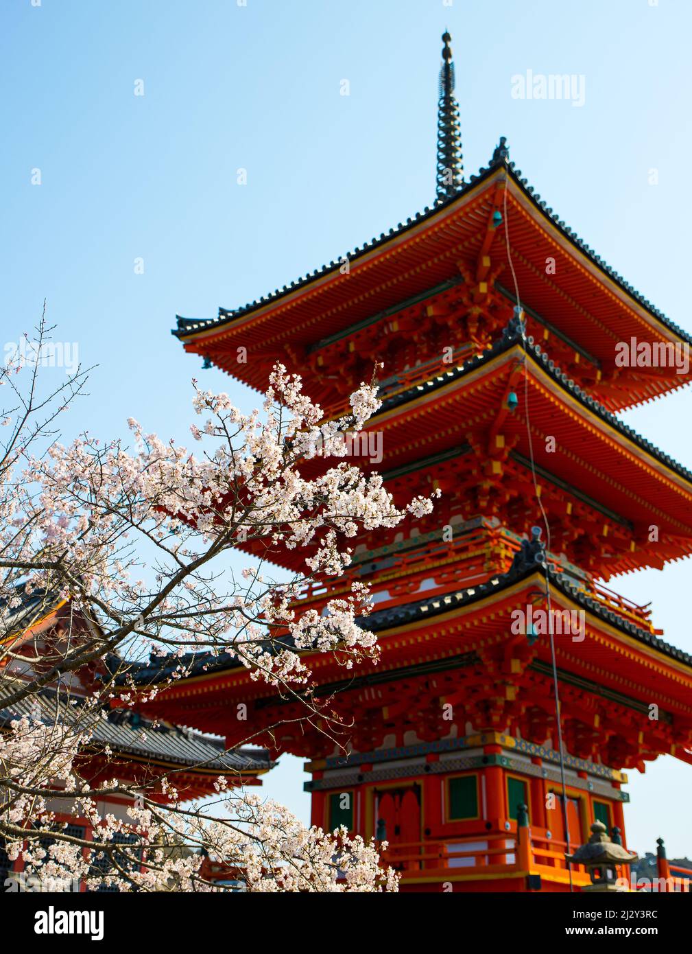 Cherry Blossom Sakura e tradizionale pagoda orientale durante la stagione primaverile a Kyoto in Giappone Foto Stock