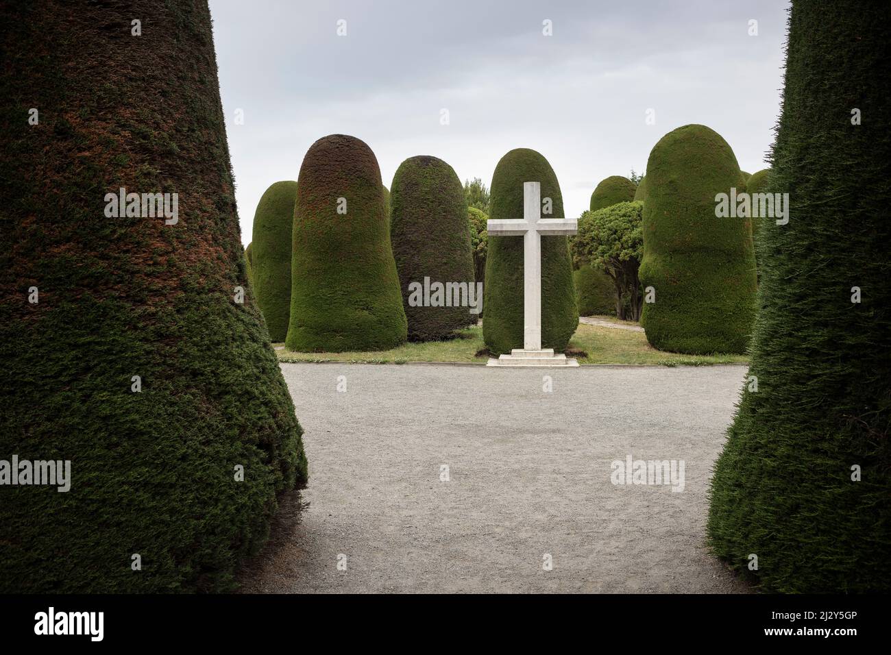 Alberi ornamentali in Cimitero Municipale Sara Braun, Punta Arenas, Patagonia, Cile, Sud America Foto Stock