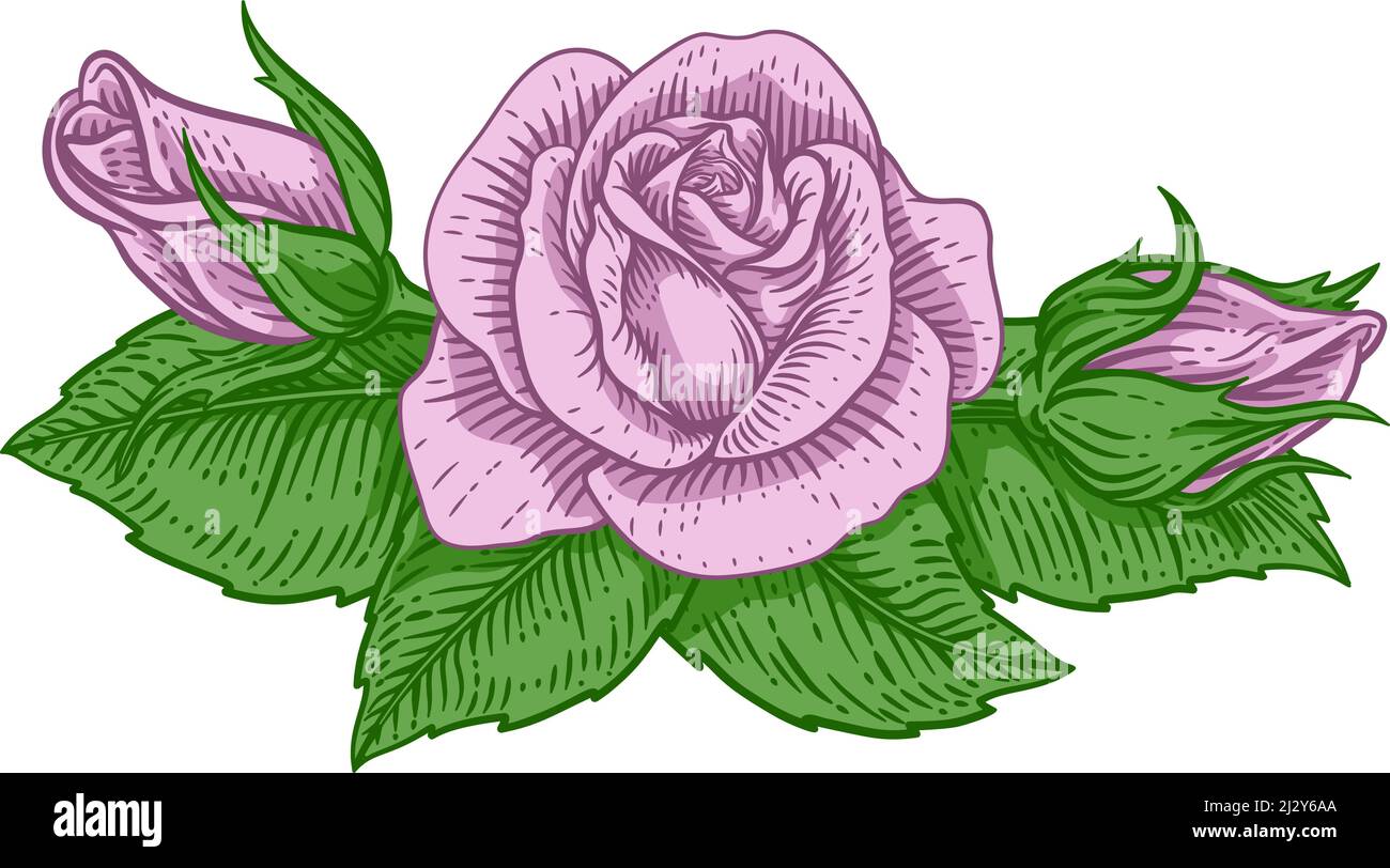 Rose Flower Design Woodcut Vintage retro Style Illustrazione Vettoriale