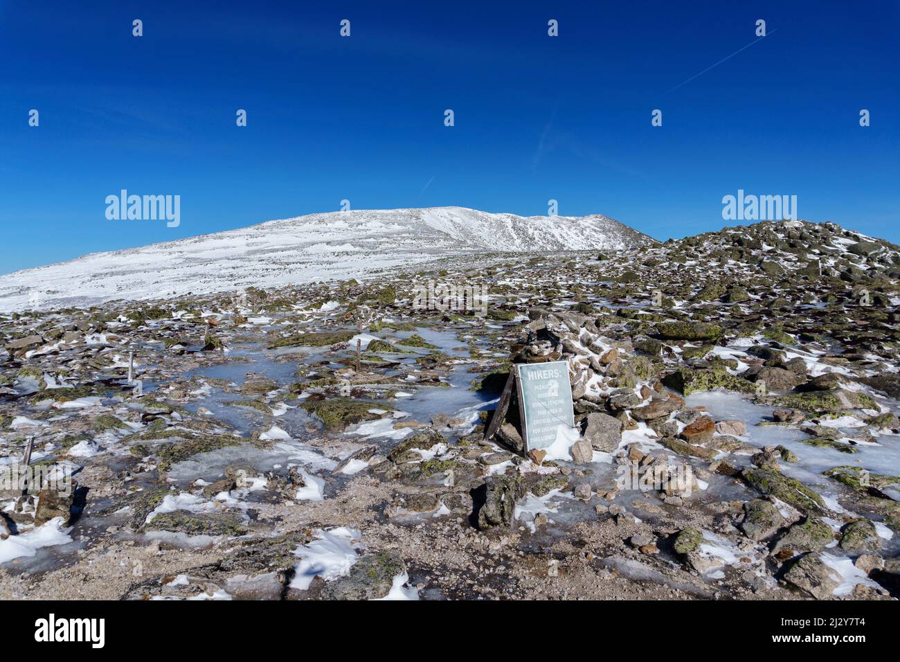 Mount Katahdin Summit Tablelands, neve, inverno, Alpine zone, Northern Terminus Appalachian Trail, Baxter state Park, la montagna più alta del Maine. Foto Stock