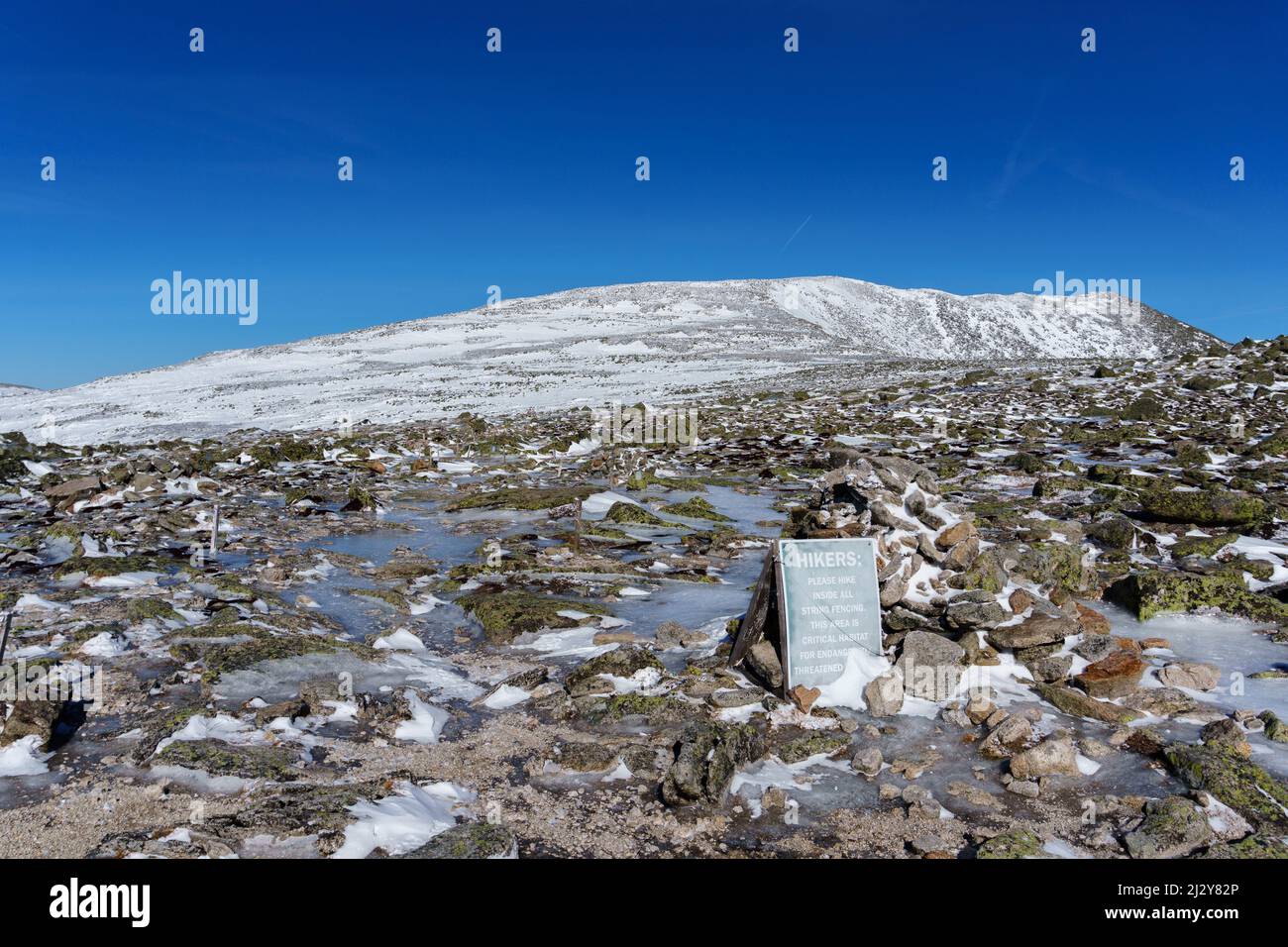 Mount Katahdin Summit Tablelands, neve, inverno, Alpine zone, Northern Terminus Appalachian Trail, Baxter state Park, la montagna più alta del Maine. Foto Stock