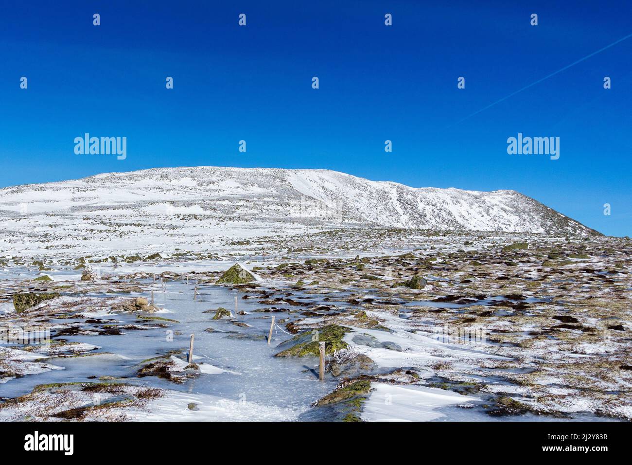 Mount Katahdin Summit Tablelands, neve, inverno, Alpine zone, Northern Terminus Appalachian Trail, Baxter state Park, la montagna più alta del Maine. Foto Stock