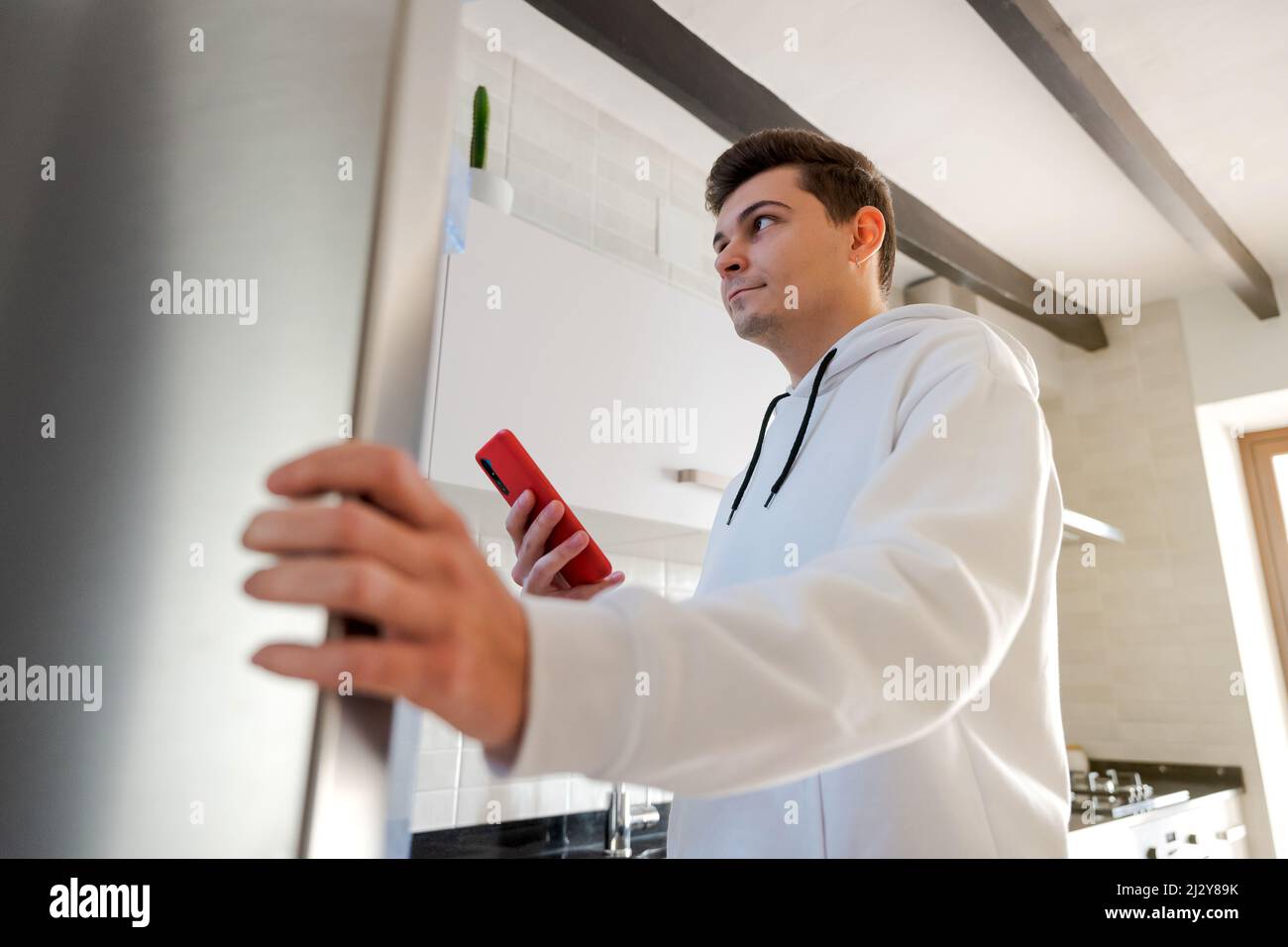 Giovane uomo caucasico che controlla la lista della spesa sul telefono cellulare di fronte al frigorifero. Cucina, luce naturale, felpa bianca. Casa europea. Foto Stock