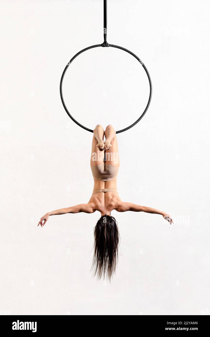 Back view full body of anonymous slim femminile aerialista che fa BAT stunt su cerchio aereo su sfondo bianco in studio Foto Stock