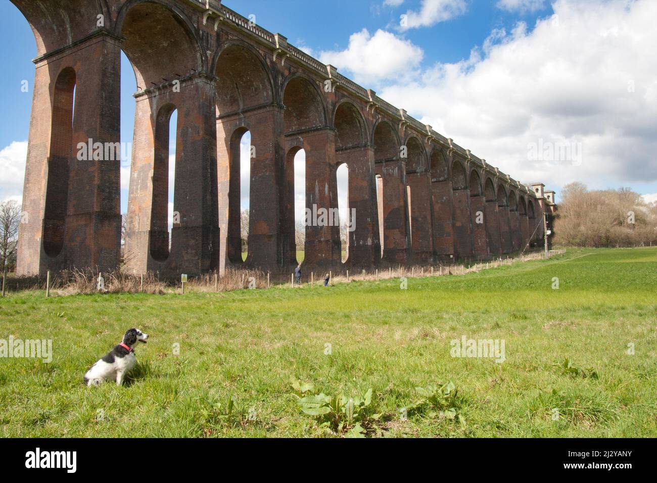 Il viadotto Balcombe, costruito nel 1940 per la ferrovia da Londra a Brighton, sorge a 92 metri sulla valle dell'Ouse, nel Sussex occidentale, in Inghilterra Foto Stock