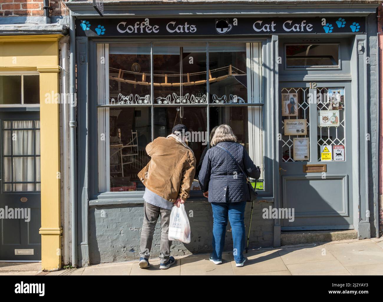 Coppia che guarda nella finestra di Coffee Cats Cat Cafe The Strait Lincoln City 2022 Foto Stock