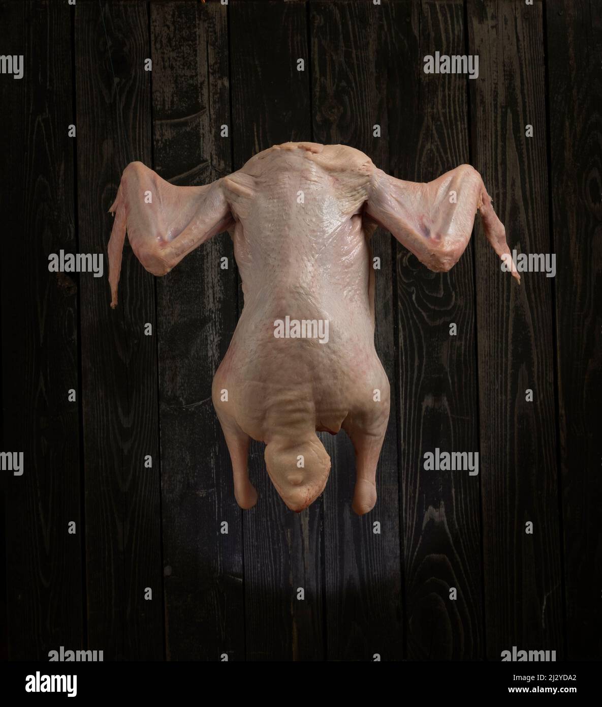 Carcassa di anatra cruda, levitazione su sfondo di legno scuro Foto Stock