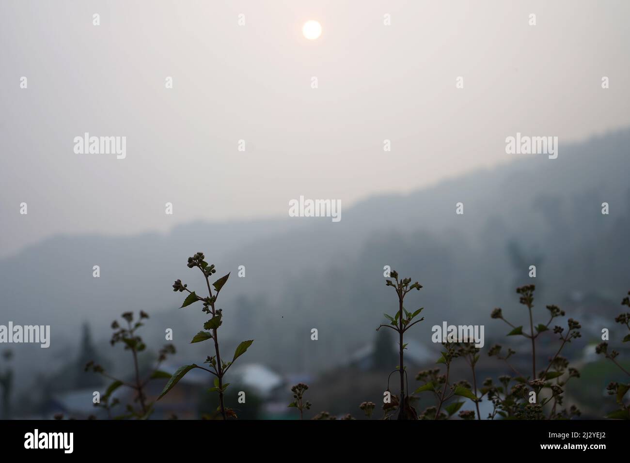 Un Alba di prima mattina in un villaggio di Sikkim Foto Stock