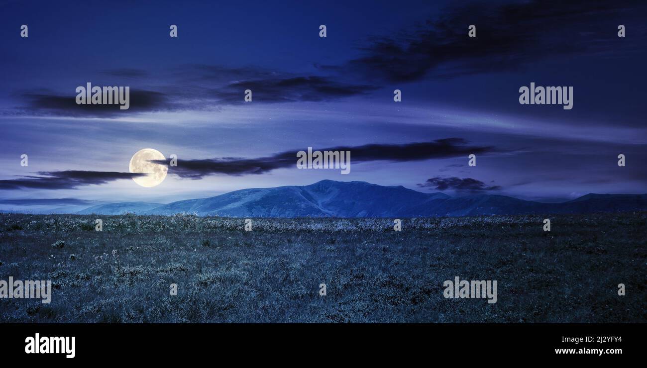 prato alpino di montagna in estate di notte. bellissimo paesaggio di carpazi in piena luce luna Foto Stock