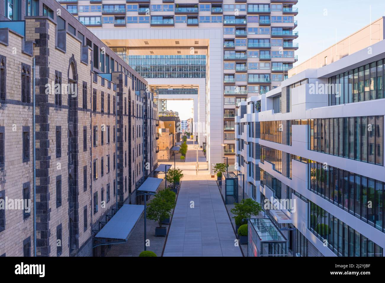 Kranhäuser, Rheinauhafen, Colonia, Renania settentrionale-Vestfalia, Germania, Europa Foto Stock