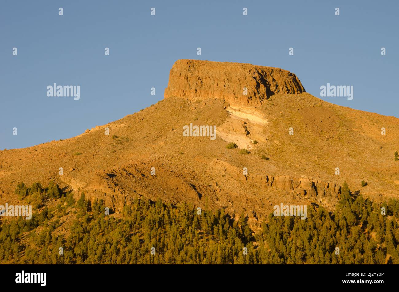 Cliff Sombrero de Chasna a Vilaflor. Tenerife. Isole Canarie. Spagna. Foto Stock