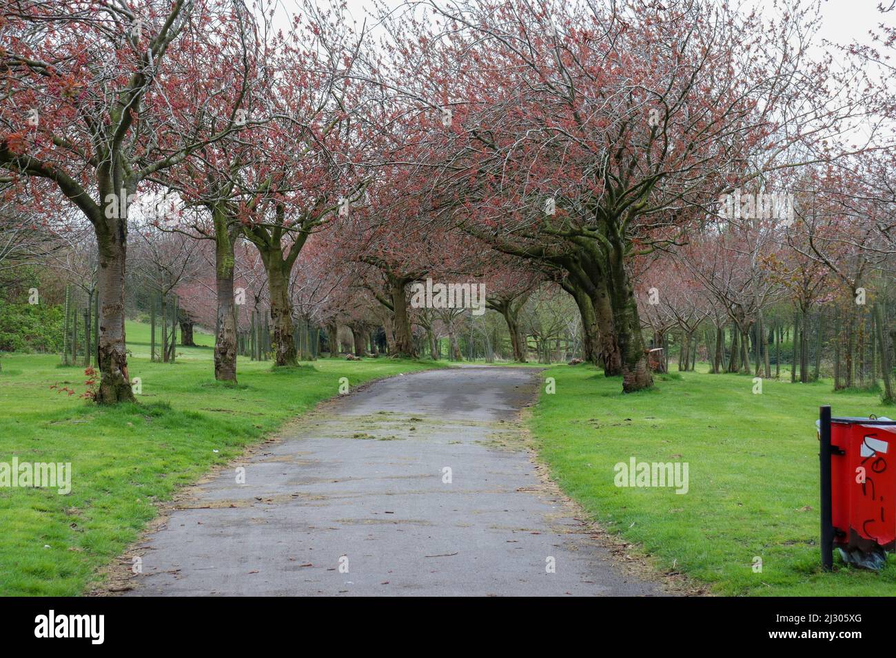 Giardini botanici di Wavertree Foto Stock