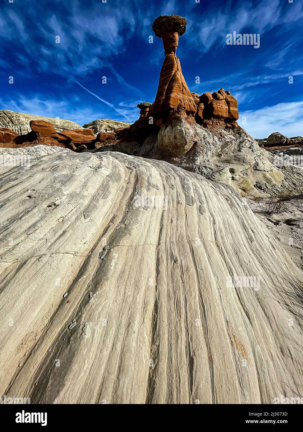 I Toadsgools vicino a Kanab Utah Foto Stock