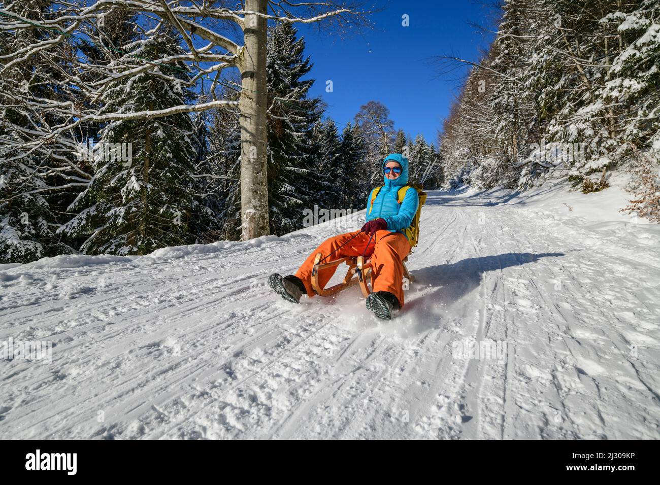 La donna guida su un sentiero alpino con slitta dal Firstalm superiore, Firstalm, Spitzing zona, Alpi bavaresi, alta Baviera, Baviera, Germania Foto Stock