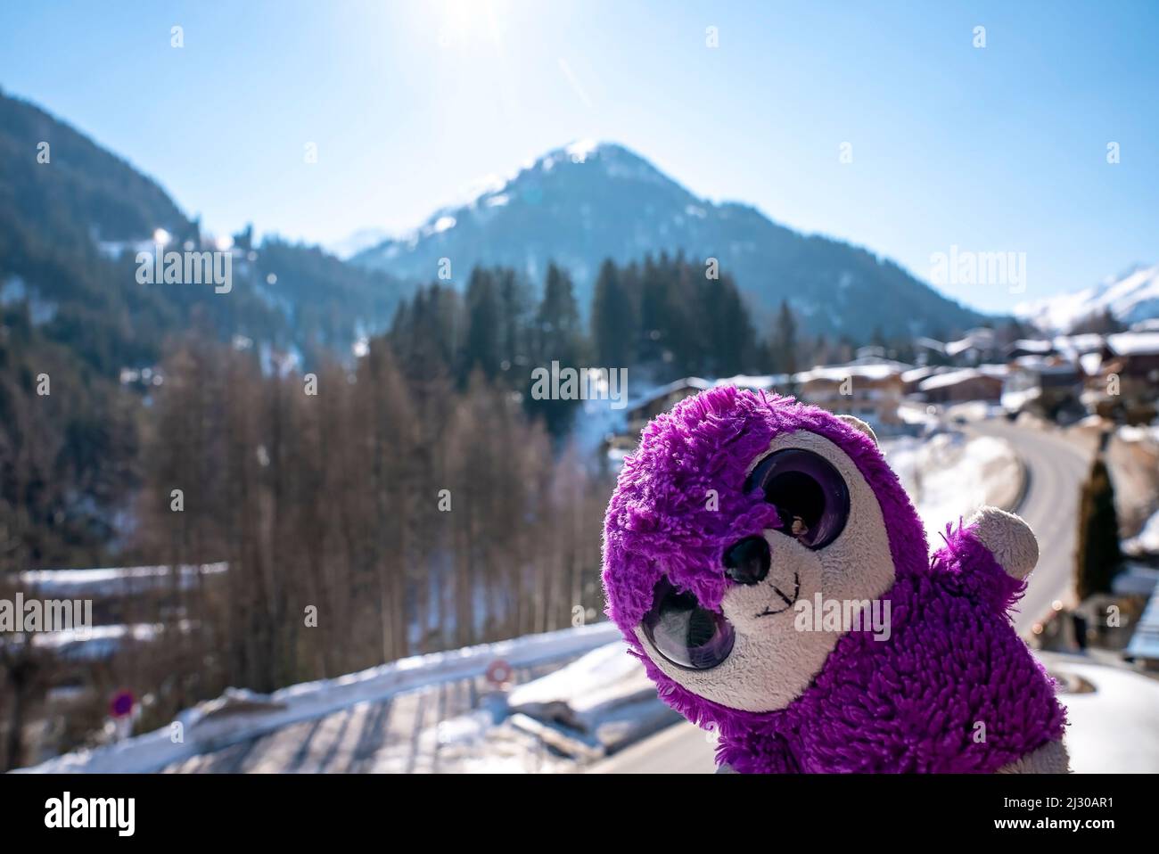 Il plushie viola preferito contro la foresta e la montagna in giorno di sole durante l'inverno Foto Stock