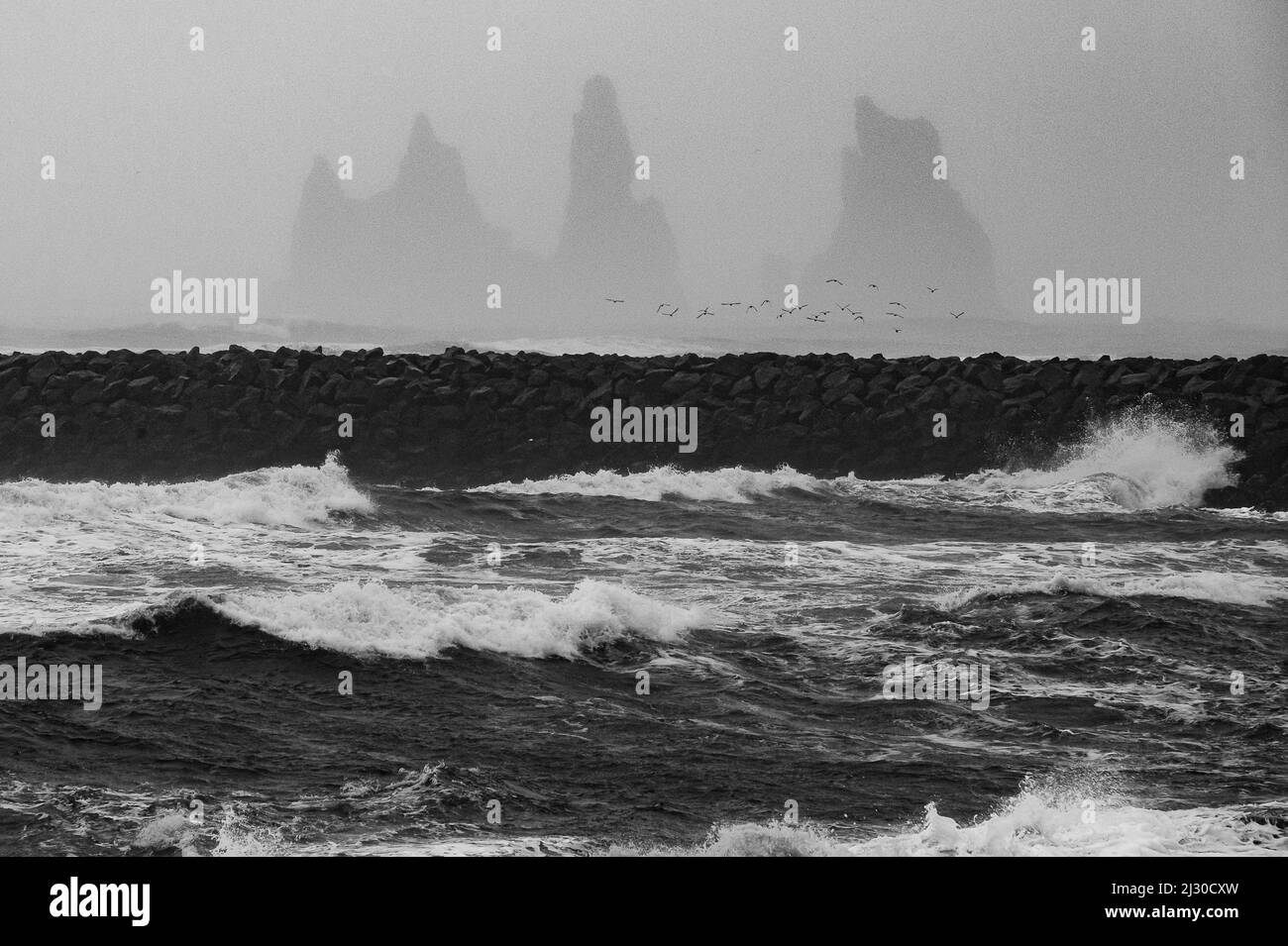Le pile di mare di Vik, nel sud dell'Islanda, in una giornata di tempesta e nebbia Foto Stock