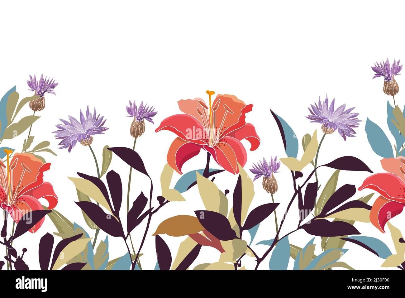 Motivo floreale vettoriale senza cuciture, bordo. Illustrazione panoramica orizzontale con gigli rossi e viola e cornflowers. Illustrazione Vettoriale