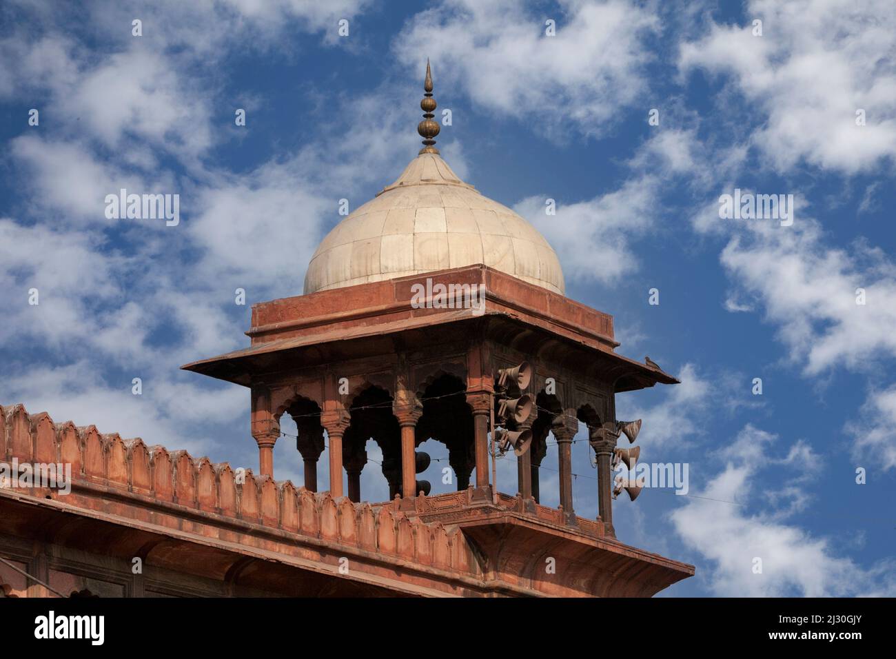 New Delhi, India. Chhatri del Jama Masjid (Moschea del Venerdì). Foto Stock