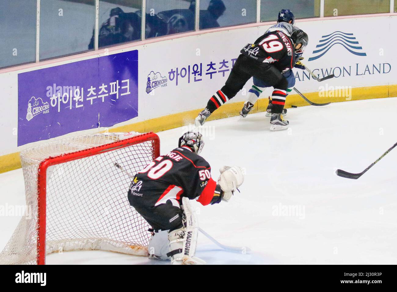 26 settembre 2015 - Corea del Sud, Goyang : le pale di ghiaccio di Tohoku del Giappone e gli alti 1 della Corea del Sud giocano durante l'Asia Ice Hockey League 2015 al Goyang Ice link di Gyeong Gi, Corea del Sud. Oggi la partita ha vinto le pale di ghiaccio Tohoku, punteggio 6-2. Foto Stock