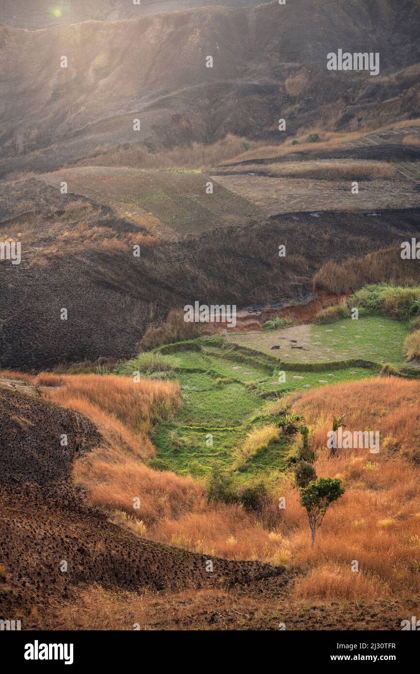 Paesaggio nelle Highlands centrali del Madagascar, Africa Foto Stock