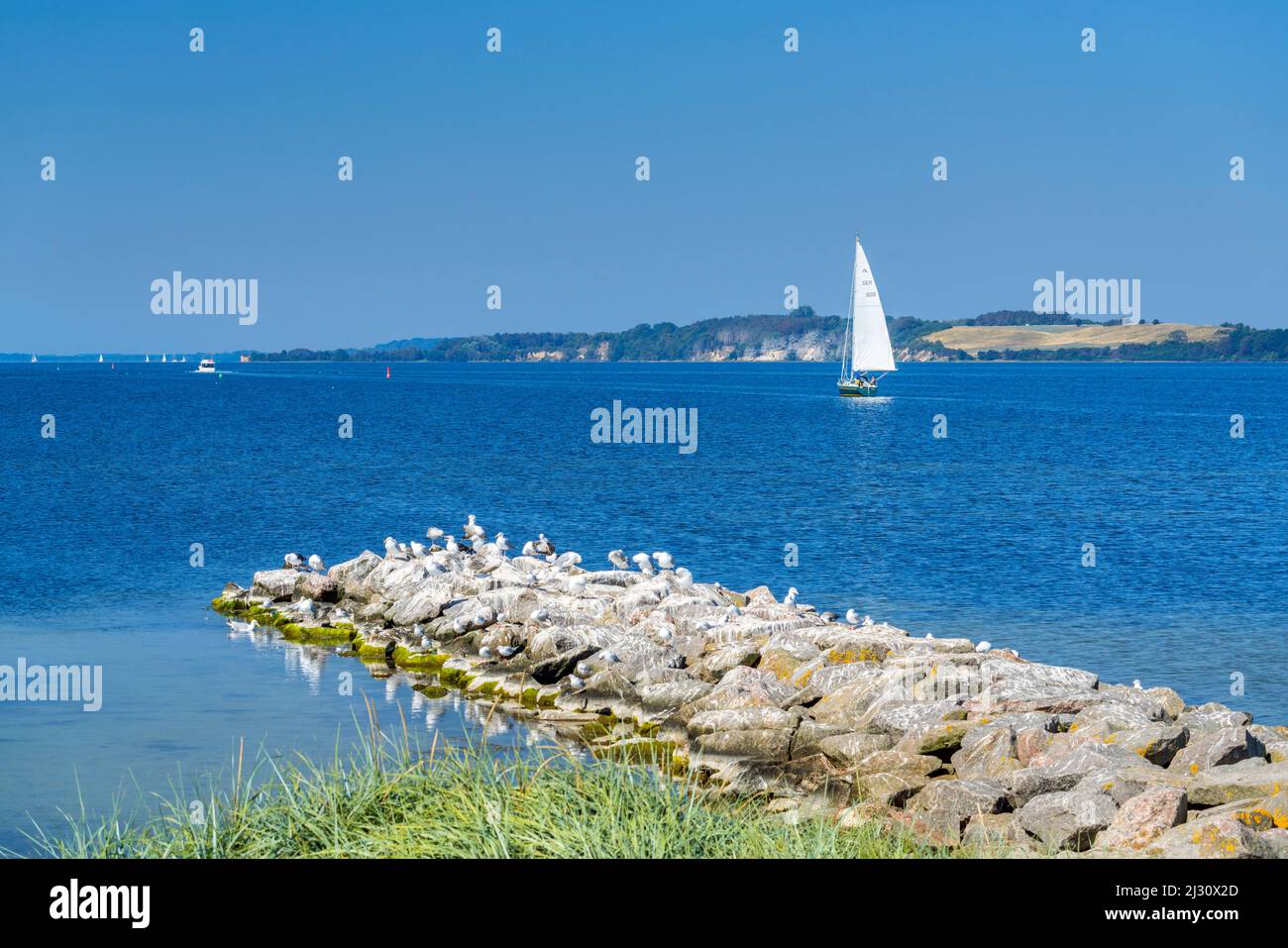 Bodden nei pressi di Gager, Isola Ruegen, Meclemburgo-Pomerania occidentale, Germania Foto Stock