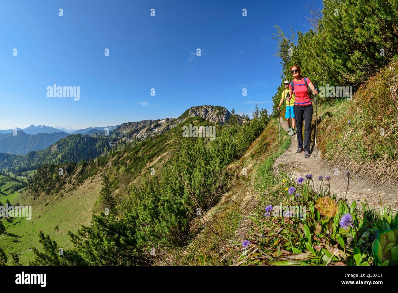 Escursione uomo e donna su un sentiero stretto per Hochfelln, Hochfelln, Alpi Chiemgau, Salzalpensteig, alta Baviera, Baviera, Germania Foto Stock