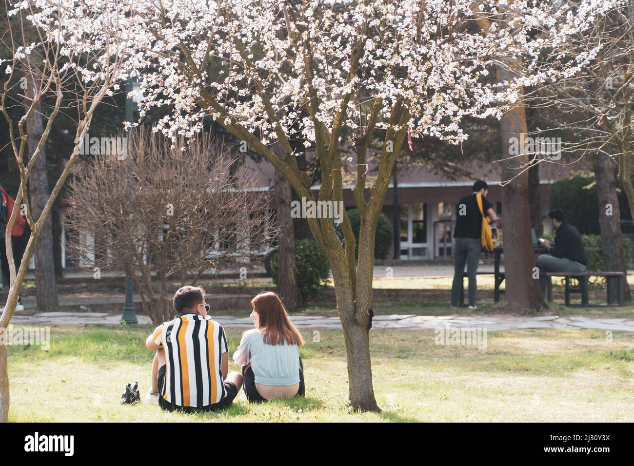Sakarya, Turchia - 30 marzo 2022: Università di Sakarya. Studenti nel campus della Sakarya University in Turchia. Vita universitaria Foto Stock
