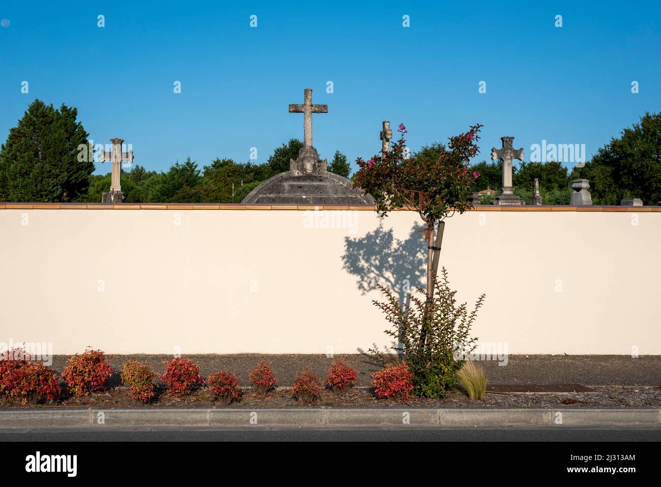 Cimitero con croci in pietra, Carcans, Francia Foto Stock