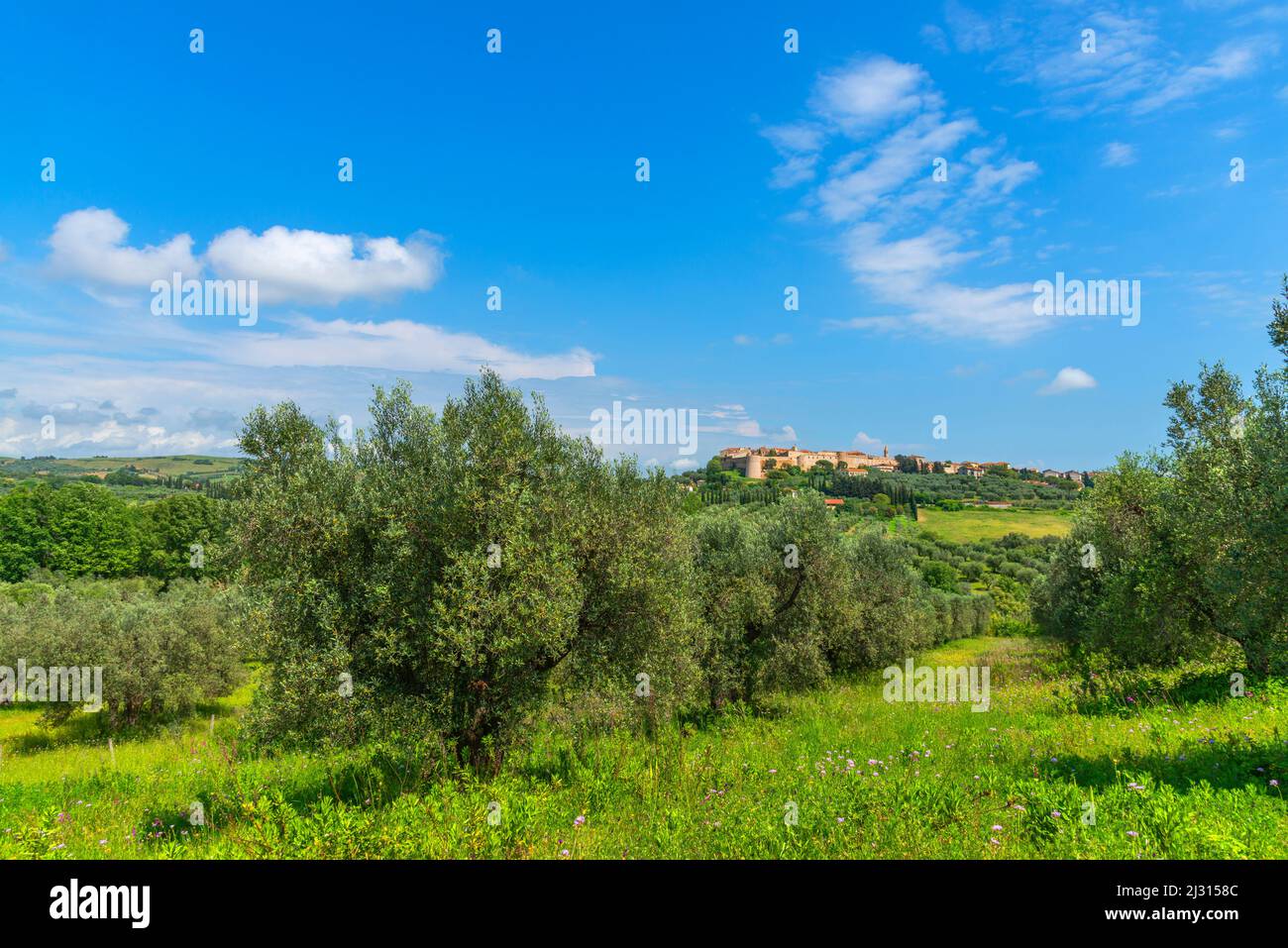 Vista a Magliano in Toscana, Maremma, Provincia di Grosseto, Toscana, Italia Foto Stock