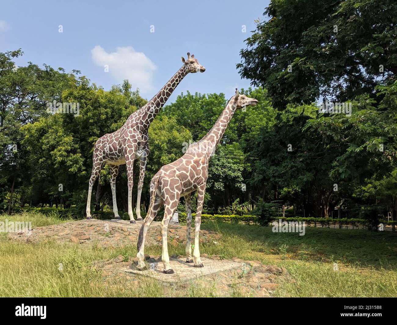 Bella vista lunga di giraffe sculture di cemento isolato in Gulbarga University Garden: Kalaburagi, Karnataka, India-Ottobre 14,2021 Foto Stock