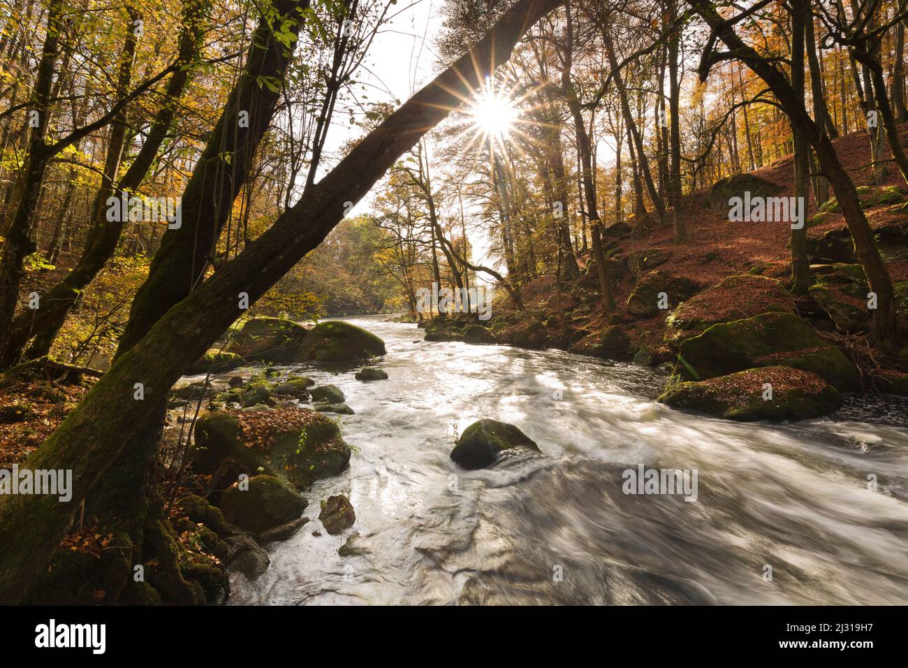 Rapide di 'Irrel Waterfalls' nella valle del Prüm, vicino Irrel, Eifel, Renania-Palatinato, Germania Foto Stock