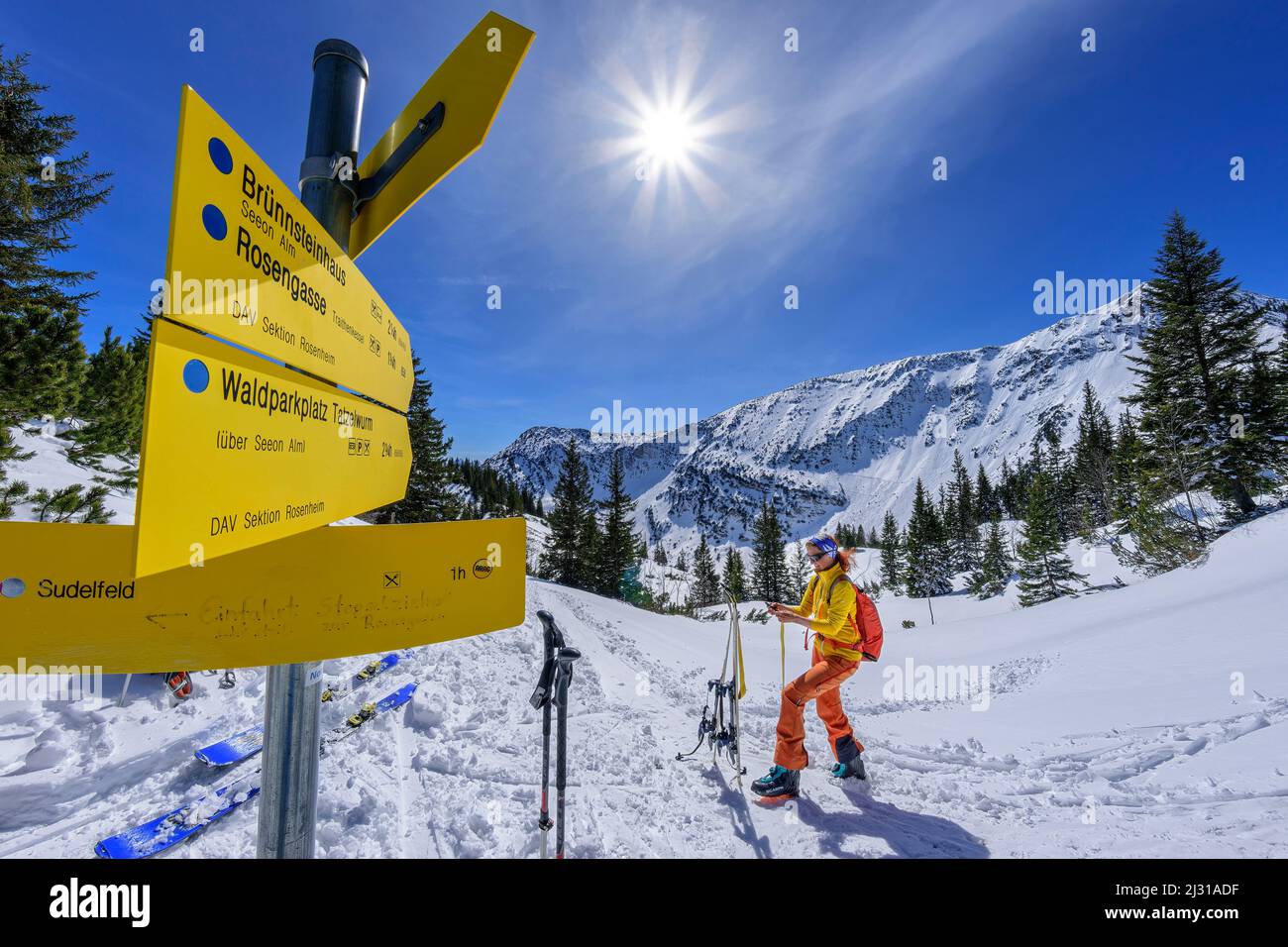 Donna in giro sci fa una pausa al cartello escursionistico, Großer Traithen, Monti Mangfall, Alpi bavaresi, alta Baviera, Baviera, Germania Foto Stock