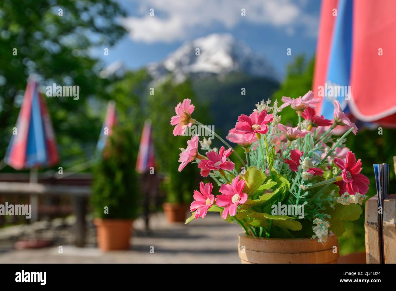 Arrangiamenti floreali al Gasthof Gerstreit con Watzmann fuori fuoco sullo sfondo, Soleleitungsweg, Alpi Berchtesgaden, Salzalpensteig, alta Baviera, Baviera, Germania Foto Stock