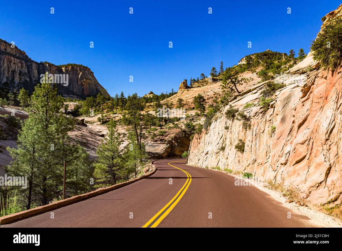 Il viaggio verso il Parco Nazionale di Zion mostra molte meraviglie naturali e vale la pena di vedere Foto Stock