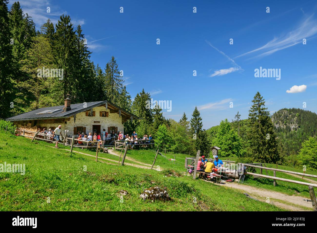 Gli ospiti si trovano a Staudacher Alm, Hochgern, Alpi Chiemgau, Salzalpensteig, alta Baviera, Baviera, Germania Foto Stock