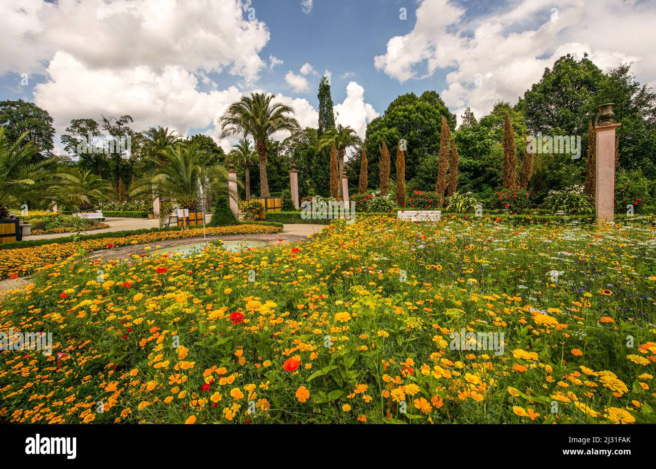 Vista sul giardino di palme nei giardini termali di Bad Pyrmont, bassa Sassonia, Germania Foto Stock